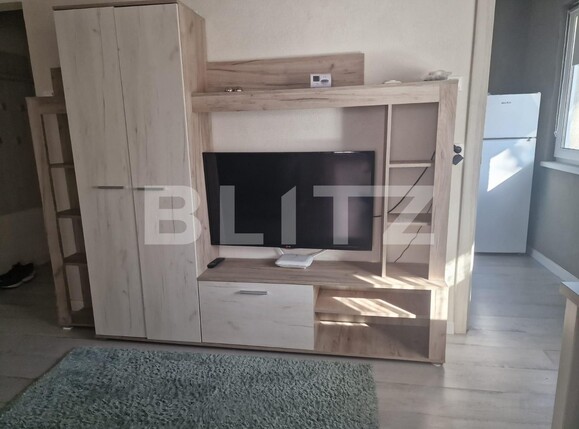 Apartament de închiriat 2 camere Dambu Pietros - 135322AI | BLITZ Târgu Mureș | Poza1