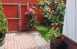 Casa 1 camera, 50mp, Semicentrala 