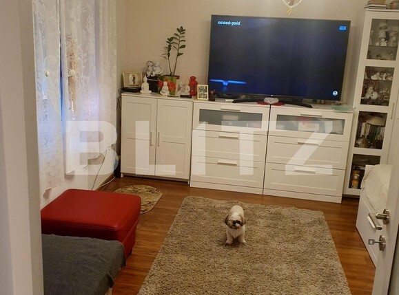 Casa de vânzare 1 camera Central - 135325CV | BLITZ Târgu Mureș | Poza7