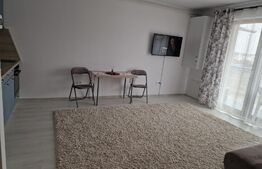 Apartament tip studio, 55MP, zona Tudor