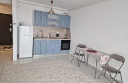 Apartament tip studio, 55MP, zona Tudor