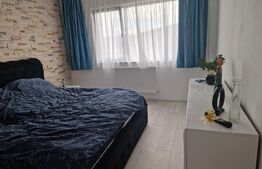 Casa 3 camere, 116mp utili, 793mp total, Budiu Mic 