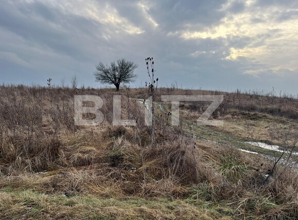Teren de vânzare Ernei - 135730TV | BLITZ Târgu Mureș | Poza3