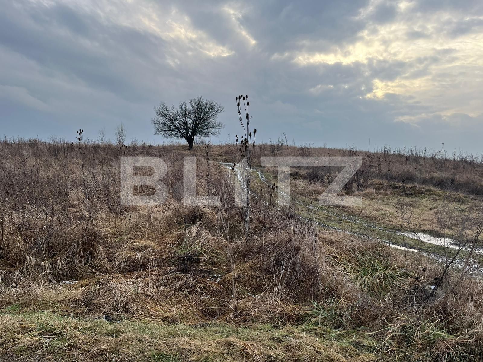 Teren de vânzare Ernei - 135730TV | BLITZ Târgu Mureș | Poza3