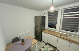 Apartament 2 camere, 55mp, in Ama 