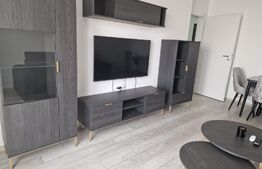 Apartament cu 2 camere ,65 mp utili,zona Maurer 
