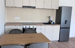 Apartament 2 camere,48 mp utili, cartier Livezeni