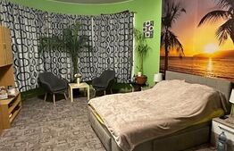 Apartament cu 1 cameră, 45 mp,zona Cocosu de Aur