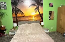 Apartament cu 1 cameră, 45 mp,zona Cocosu de Aur