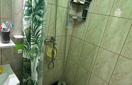 Apartament cu 1 cameră, 45 mp,zona Cocosu de Aur