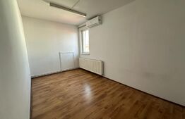 Casa multifunctionala, zona Aleea Carpati