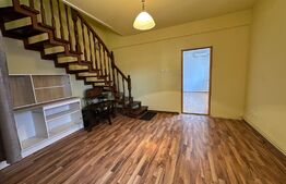 Casa multifunctionala, zona Aleea Carpati