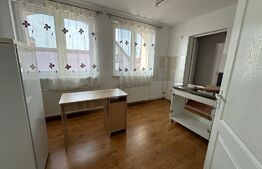 Casa multifunctionala, zona Aleea Carpati