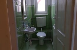 Casa multifunctionala, zona Aleea Carpati