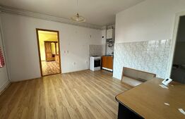 Casa multifunctionala, zona Aleea Carpati