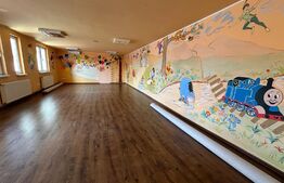 Casa multifunctionala, zona Aleea Carpati