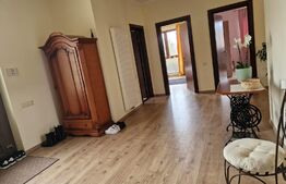 Casă superbă de vânzare, 5800mp teren, Ceauasu de Campie