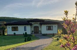 Casă superbă de vânzare, 5800mp teren, Ceauasu de Campie