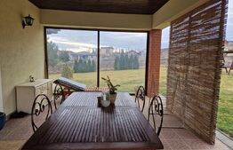 Casă superbă de vânzare, 5800mp teren, Ceauasu de Campie