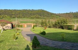 Casă superbă de vânzare, 5800mp teren, Ceauasu de Campie