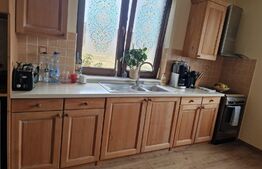 Casă superbă de vânzare, 5800mp teren, Ceauasu de Campie