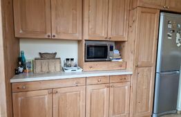 Casă superbă de vânzare, 5800mp teren, Ceauasu de Campie