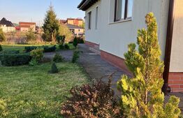 Casă superbă de vânzare, 5800mp teren, Ceauasu de Campie