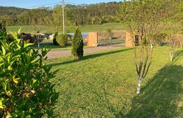 Casă superbă de vânzare, 5800mp teren, Ceauasu de Campie