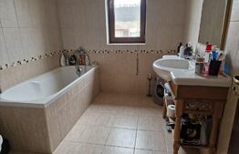 Casă superbă de vânzare, 5800mp teren, Ceauasu de Campie