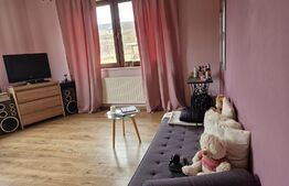 Casă superbă de vânzare, 5800mp teren, Ceauasu de Campie