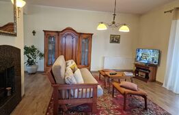 Casă superbă de vânzare, 5800mp teren, Ceauasu de Campie