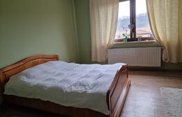 Casă superbă de vânzare, 5800mp teren, Ceauasu de Campie