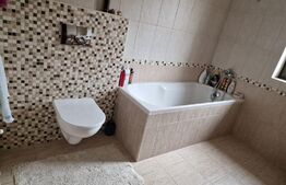 Casă superbă de vânzare, 5800mp teren, Ceauasu de Campie