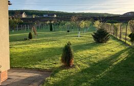 Casă superbă de vânzare, 5800mp teren, Ceauasu de Campie