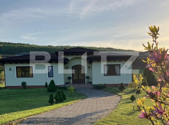 Casa de vânzare 4 camere Ceuasu de Câmpie - 136356CV | BLITZ Târgu Mureș | Poza1
