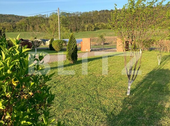 Casa de vânzare 4 camere Ceuasu de Câmpie - 136356CV | BLITZ Târgu Mureș | Poza23