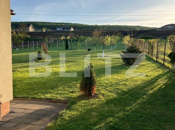 Casa de vânzare 4 camere Ceuasu de Câmpie - 136356CV | BLITZ Târgu Mureș | Poza22