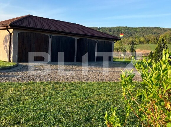 Casa de vânzare 4 camere Ceuasu de Câmpie - 136356CV | BLITZ Târgu Mureș | Poza20