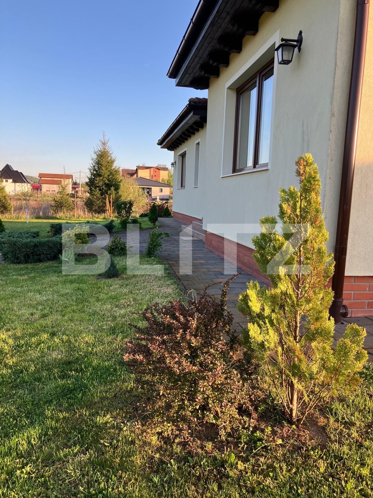 Casa de vânzare 4 camere Ceuasu de Câmpie - 136356CV | BLITZ Târgu Mureș | Poza21