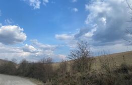 Teren de 45.750 mp, Sângeorgiu de Mures