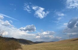 Teren de 45.750 mp, Sângeorgiu de Mures