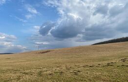 Teren de 45.750 mp, Sângeorgiu de Mures