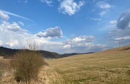 Teren de 45.750 mp, Sângeorgiu de Mures