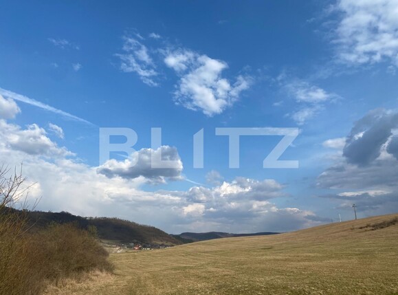 Teren de vânzare Sângeorgiu de Mureș - 136840TV | BLITZ Târgu Mureș | Poza1