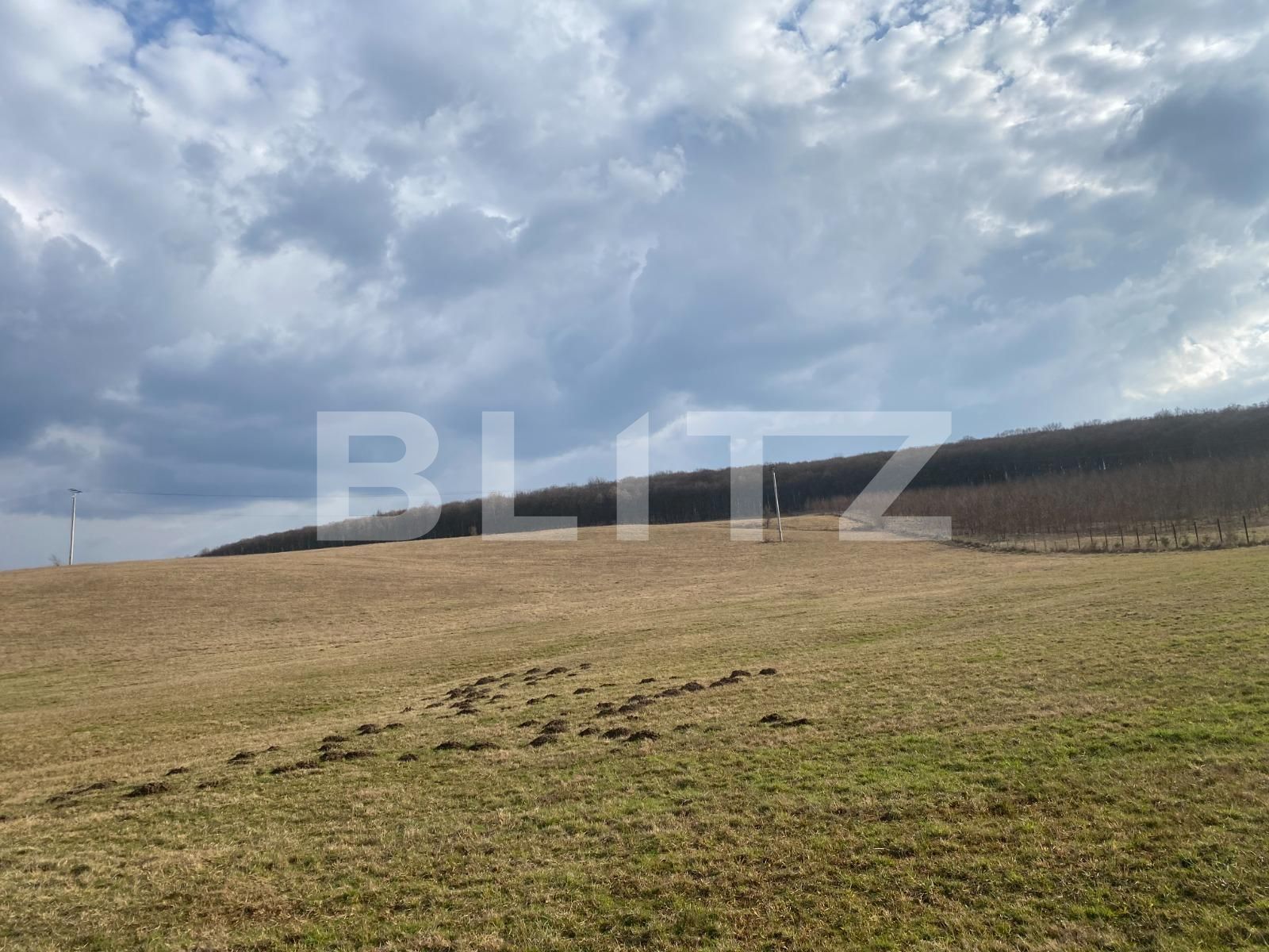 Teren de vânzare Sângeorgiu de Mureș - 136840TV | BLITZ Târgu Mureș | Poza5