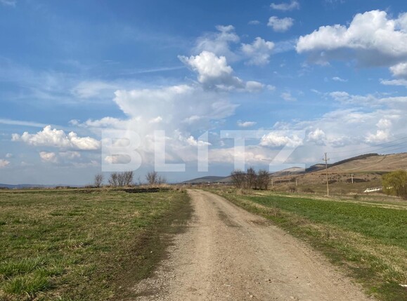 Teren de vânzare Sângeorgiu de Mureș - 136845TV | BLITZ Târgu Mureș | Poza1