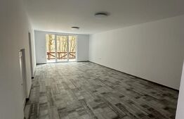 Casa duplex 8 camere  ,280 mp utili ,420 mp teren,Corunca