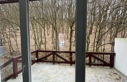 Casa duplex 8 camere  ,280 mp utili ,420 mp teren,Corunca