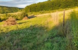 Teren Extravilan 2700 mp - Bozeni 5km de Corunca