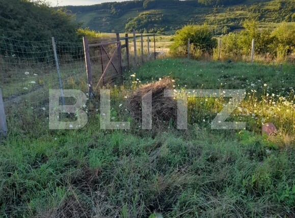 Teren de vânzare Corunca - 137024TV | BLITZ Târgu Mureș | Poza4